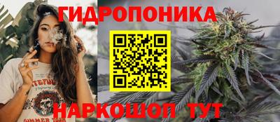 apvp Краснокаменск