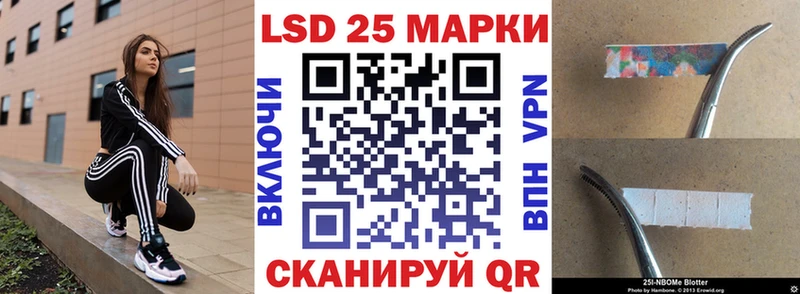 darknet как зайти  Красный Сулин  Марки NBOMe 1,8мг 