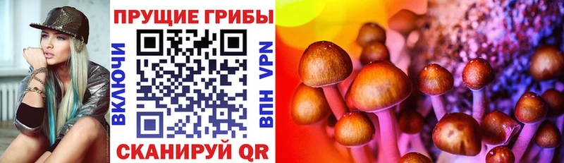 Псилоцибиновые грибы GOLDEN TEACHER  Красный Сулин 