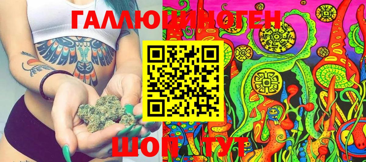 Псилоцибиновые грибы Psilocybine cubensis Красный Сулин